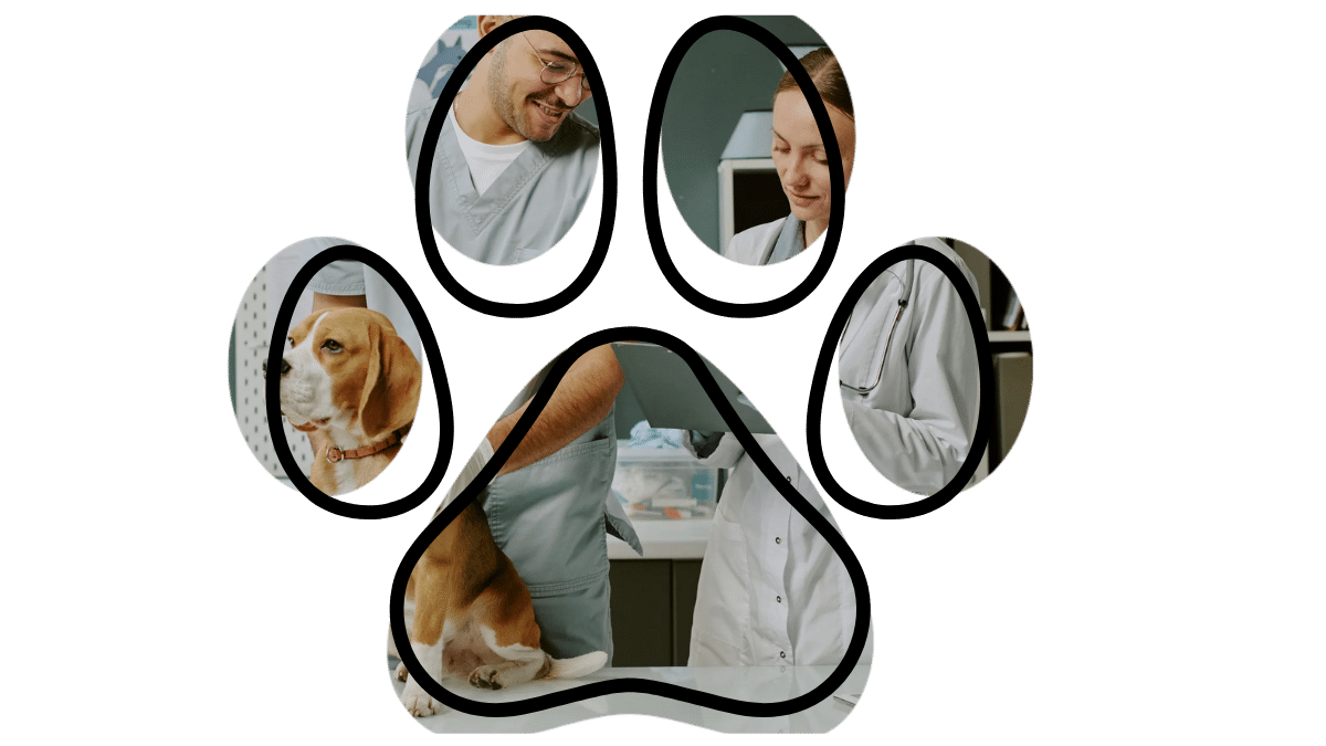 Dog receiving wellness check at East Holland Veterinary Clinic in Holland MI