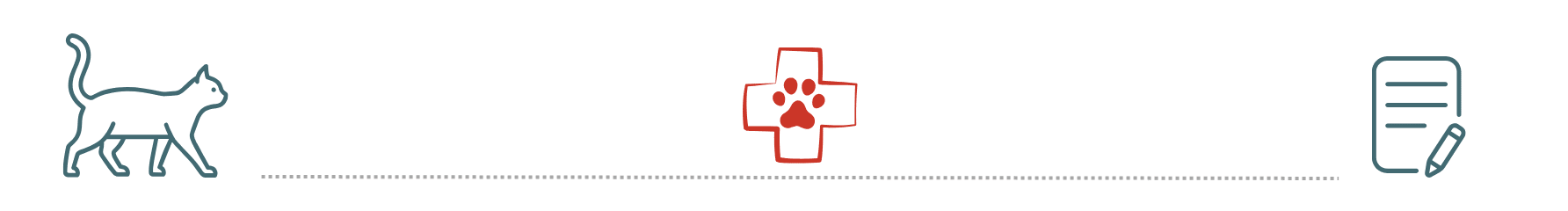 pet insurance helps cover emergency care at East Holland Veterinary Clinic Holland MI