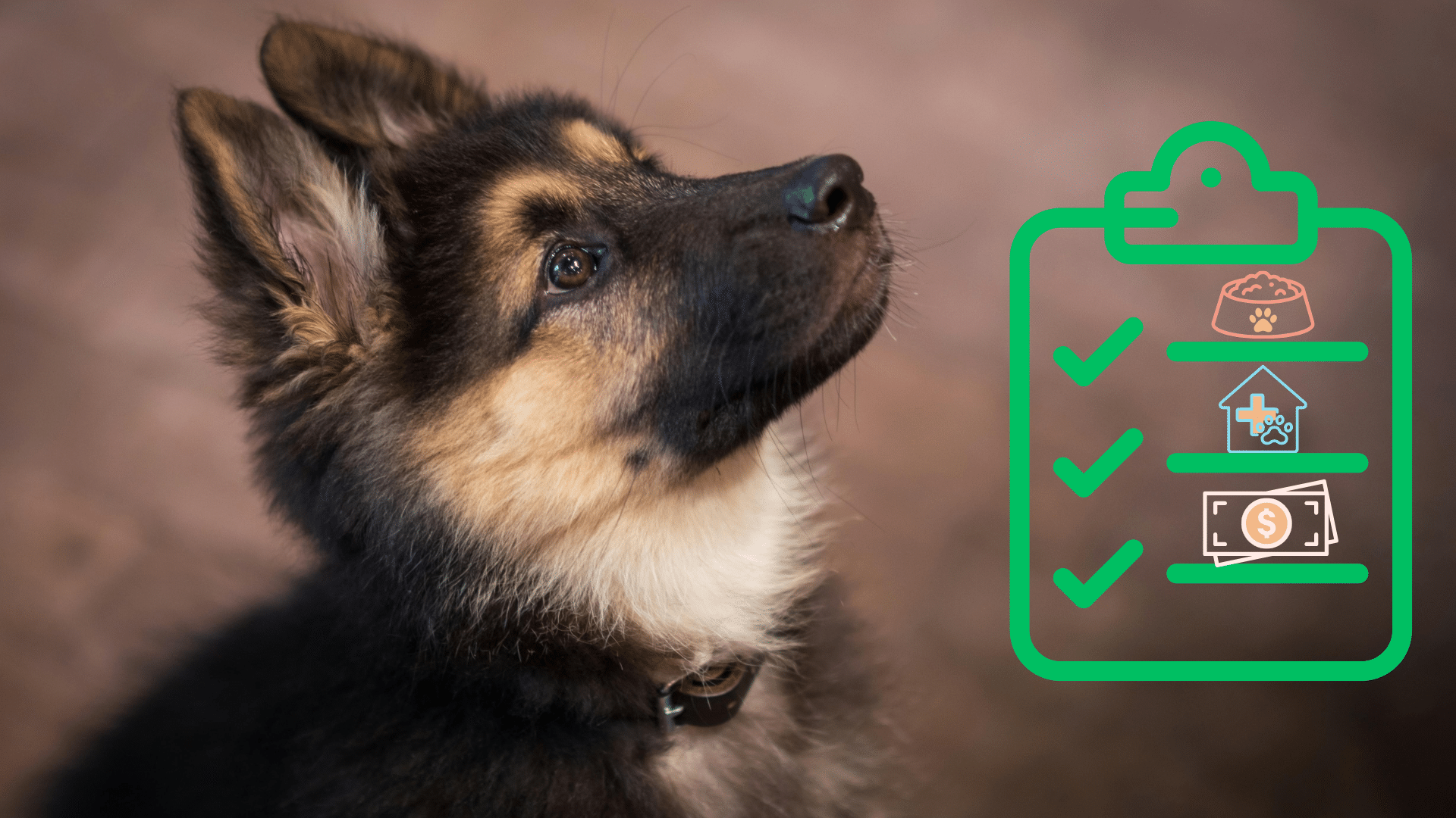 New pet care checklist next to a German Shepherd puppy in Holland, Michigan